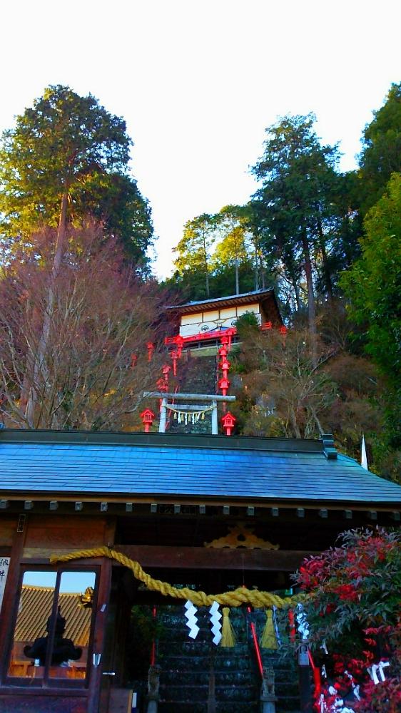 お出かけ先の画像 by youさん | お出かけ先と観葉植物と想い出と栃木県と植中毒と花のある暮らし