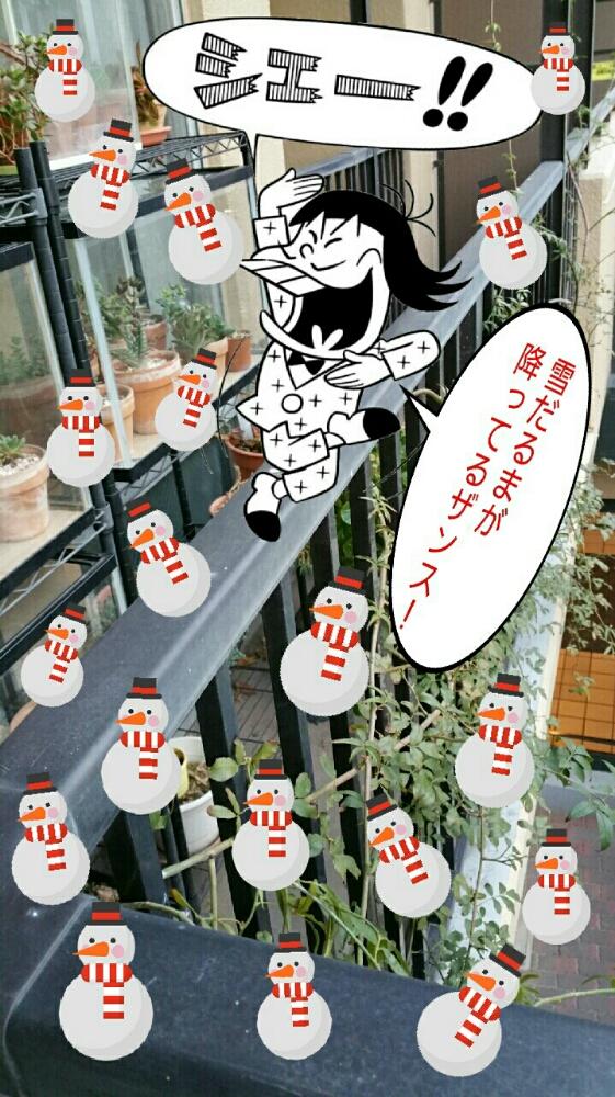バルコニー/ベランダの画像 by チョウさんさん | バルコニー/ベランダ