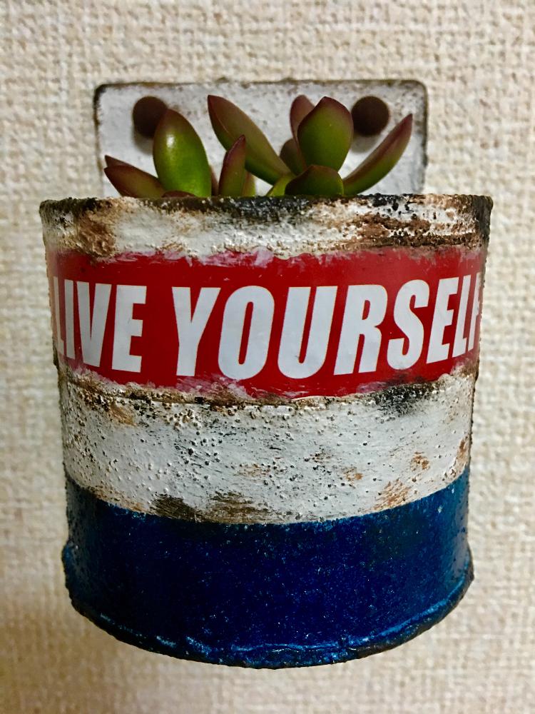 の画像 by saitokotaroさん | 多肉植物初心者と多肉植物とリメ缶と寄せ植えとリメ缶 手作りリメイク缶と植木鉢