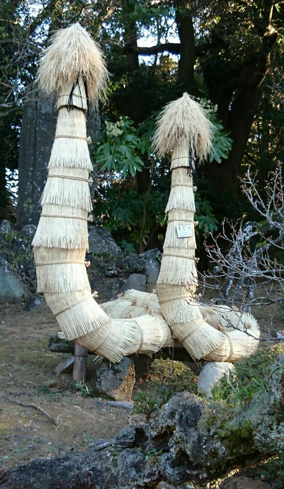 お出かけ先の画像 by 日和さん | お出かけ先と寒さに負けない