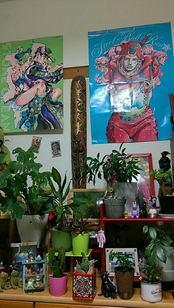 部屋の画像 by ねねさん | 部屋とサボテンとベンジャミンとガジュマルとドラセナとクロトンと ヒメサンゴとモンステラとサボテン科とカエルの王様とウルトラマンティガと観葉植物と 大雲閣と植中毒とRODY❤とウルトラセブンとまさか族と葉っぱ大好きとジョジョ❤とまさか族のボスとカエルのコポーとカエルと謎の壁掛けとワールドワイドとむちむちぷくぷく