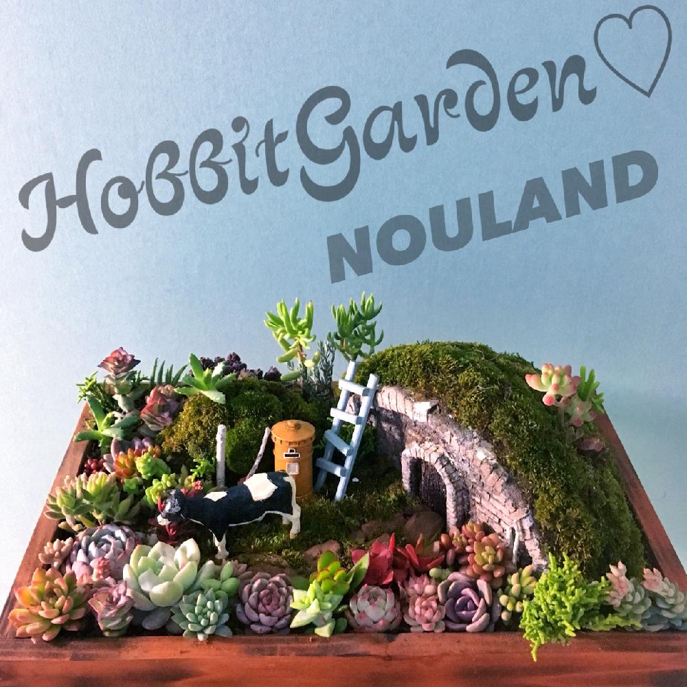 インテリアの画像 by meguchiさん | インテリアと多肉植物 寄せ植えと多肉植物と千葉県と多肉箱庭とピンク!ピンク!ピンク!と寄せ植えと紅葉する多肉とGS映えと農ランドと多肉植物寄せ植えと多肉植物のある暮らしと植中毒とぷりぷり多肉とエケベリア女子と上昇するエンゲイ係数とエケベリア属と紅葉多肉とタニラーと韓国苗と多肉植物 エケベリアとバルコニスト