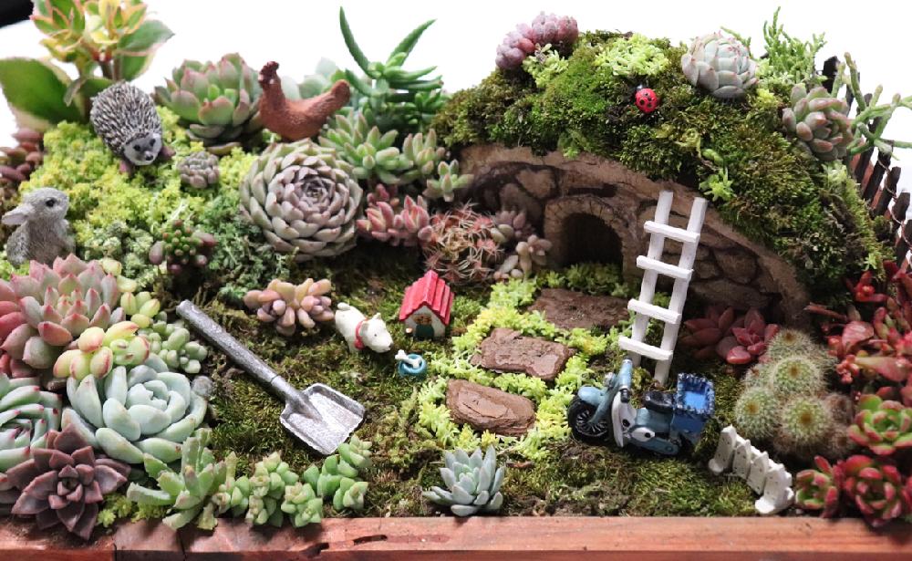 お出かけ先の画像 by junjunさん | お出かけ先と多肉植物とHTCと多肉箱庭と多肉の寄せ植えとGS映えと農ランドと今日の一枚と多肉女子と茨城タニラーとタニラーとGS茨城タニラーの会♥と暴れ多肉