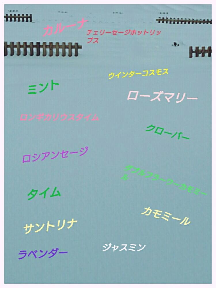 広い庭の画像 by ohanaさん | 広い庭とキュンキュン乙女倶楽部と雪が降った~!とキュンキュン乙女倶楽部No.141とハーブと寒い朝
