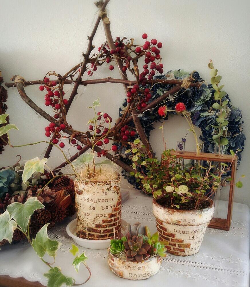 棚の画像 by Ortensiaさん | 棚と多肉植物と遊び心と植物のある暮らしとリメ缶とドライフラワーとリメイクと今日の一枚とリメ缶・リメ鉢とハンドメイドとサンキライの実とインテリア雑貨と『ジャンクグリーン』コンテストとリメ缶・リメ鉢コンテスト