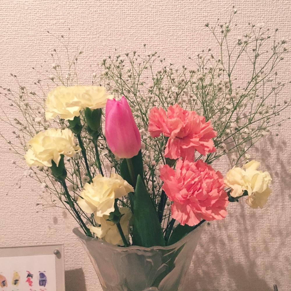玄関の画像 by tsukaさん | 玄関と今日のお花と今日の一枚と花のある暮らし
