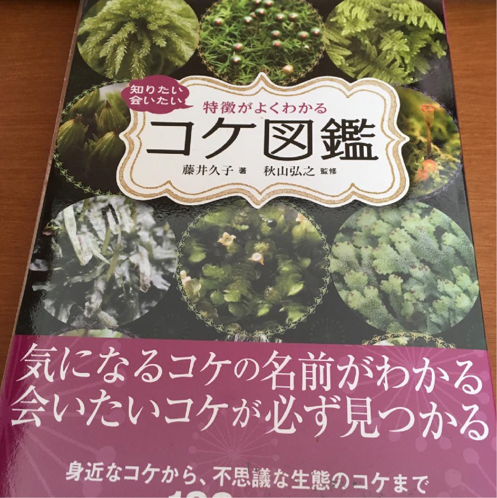 デスクの画像 by muumnさん | デスクと苔 (コケ)とゆるっと苔愛好会とありがとう♡とコケ植物とコケ図鑑と苔類と植物愛