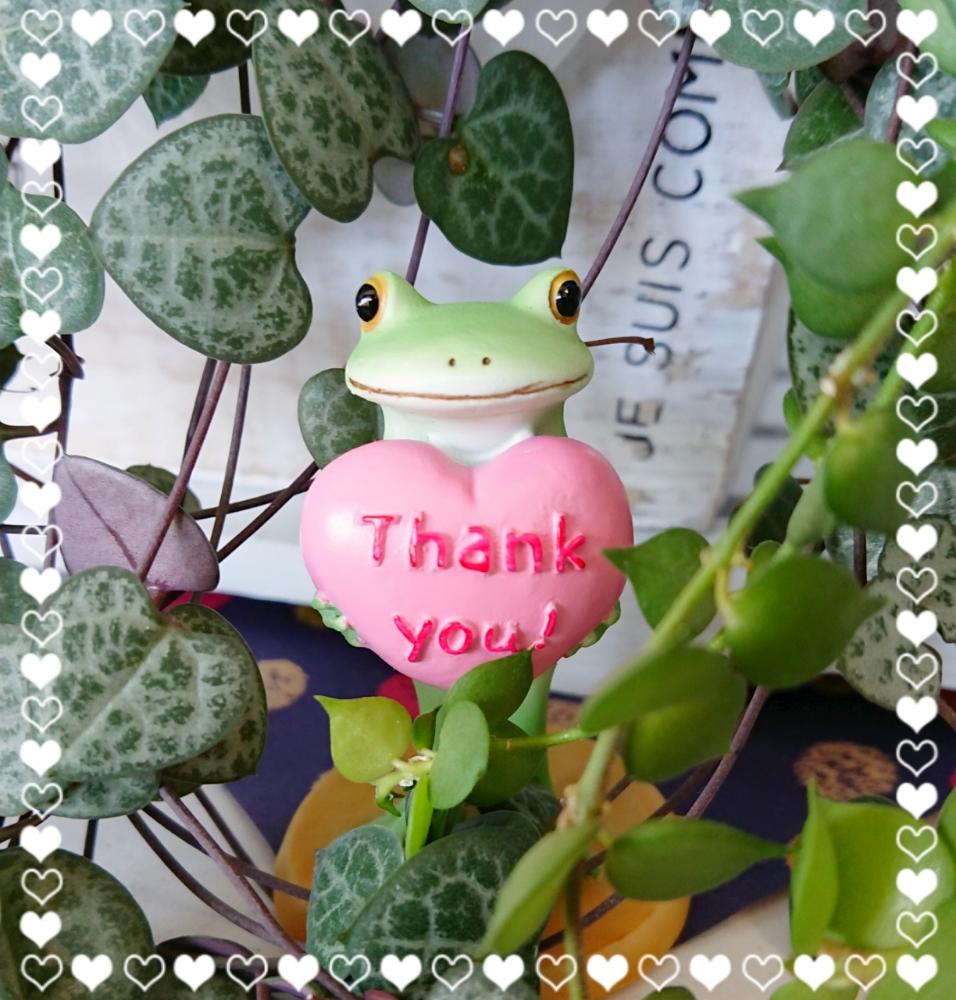 部屋の画像 by のじこさん | 部屋とディスキディア ミリオンハートとハートカヅラとハートの葉っぱ♡と今日の一枚