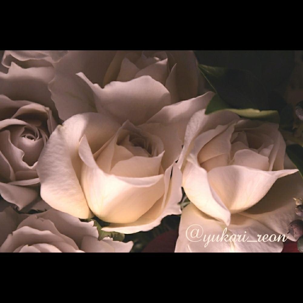 玄関の画像 by えぞりすさん | 玄関とWEEKEND FLOWERと国産スプレーバラと花好きさんと繋がりたいといとおしい植物の表情フォトコンとGS映えと植中毒とwelcome flowerとフラワーアレンジメントと花のある暮らしとスマイルアレンジメント