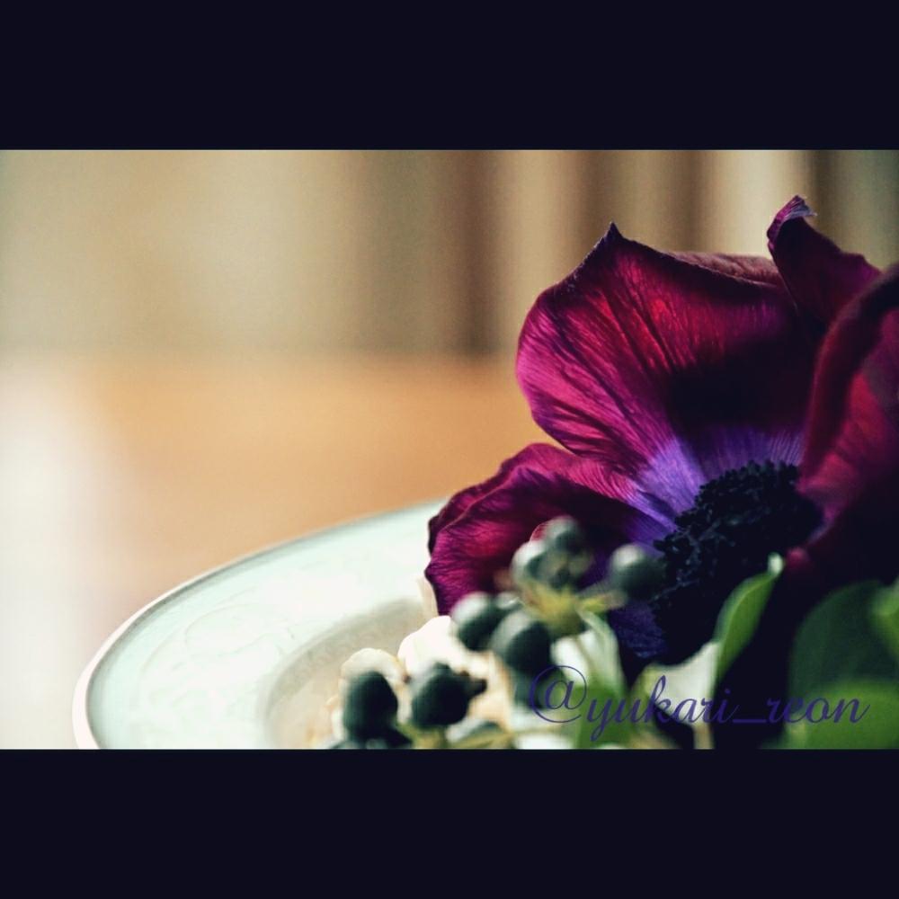 部屋の画像 by えぞりすさん | 部屋とWEEKEND FLOWERと国産スプレーバラと花好きさんと繋がりたいといとおしい植物の表情フォトコンとGS映えと植中毒とヘデラの実とwelcome flowerとフラワーアレンジメントと花のある暮らしと花のあるダイニングと『植物と暮らす2018』フォトコンテストとスマイルアレンジメントとアネモネ 切花