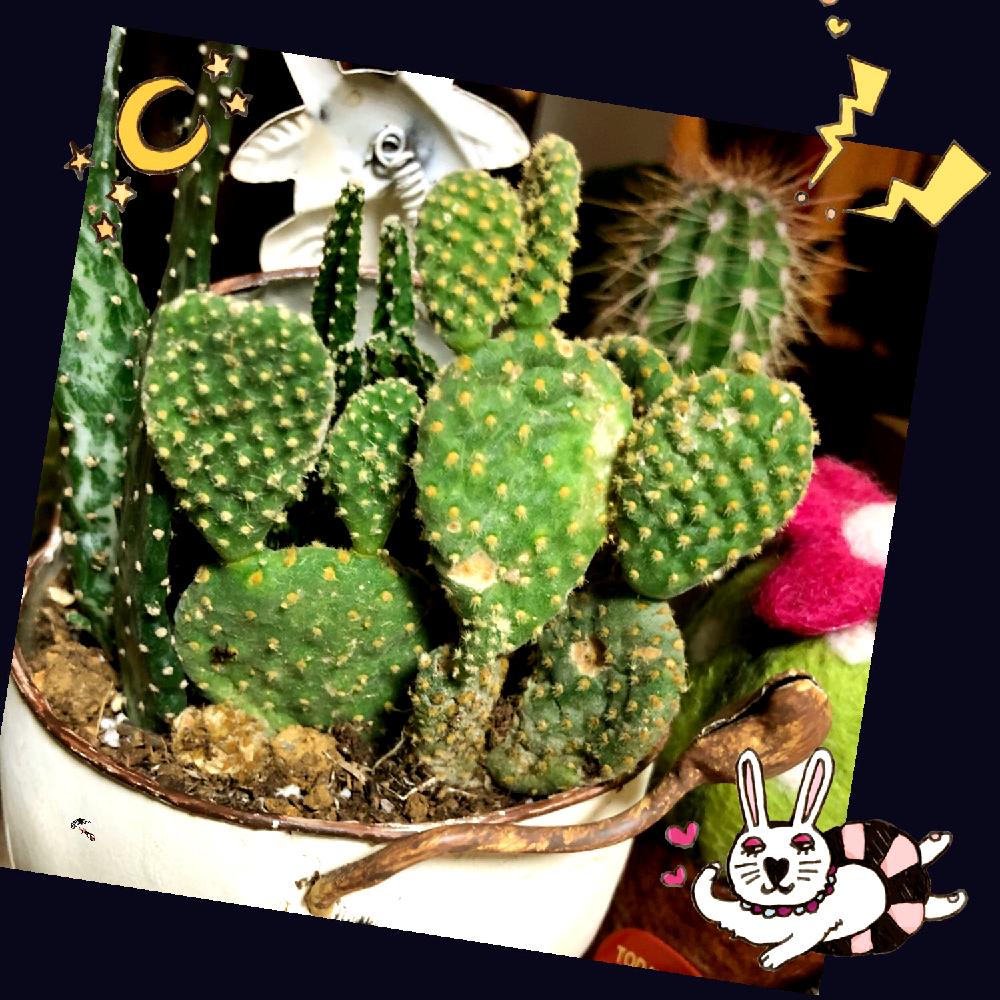 部屋の画像 by よー ٩( ᐛ )وさん | 部屋と誰か教えて下さい☺とチームサボとサボってるー