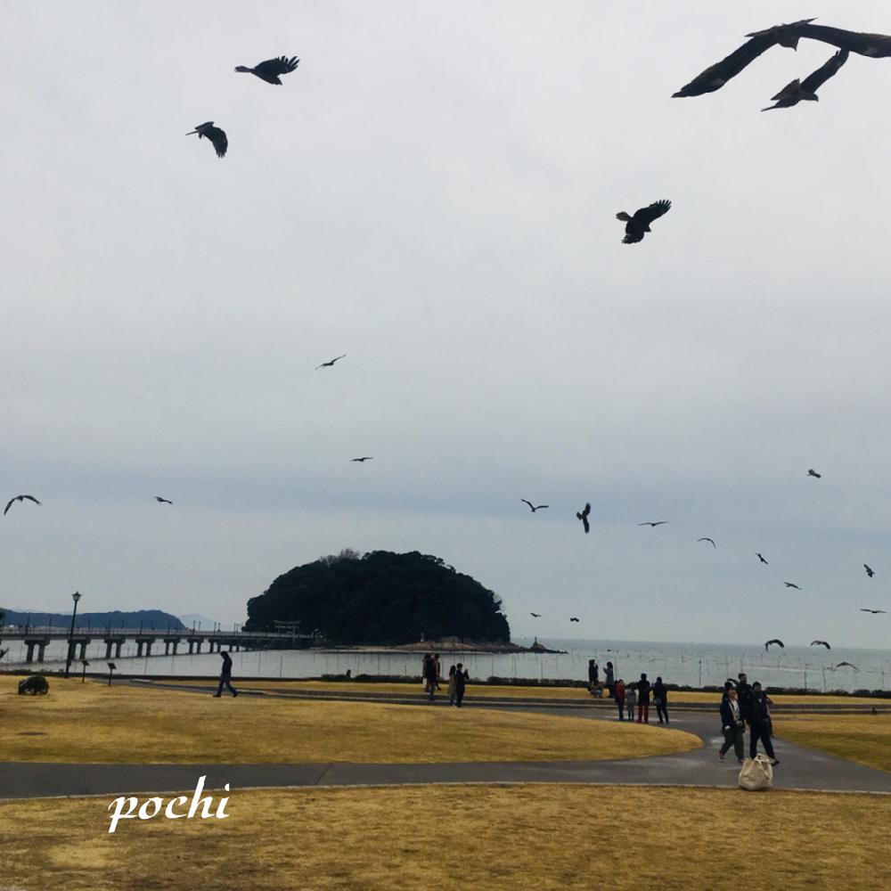 お出かけ先の画像 by ポチ音さん | お出かけ先と愛知県蒲郡市と竹島と天然記念物
