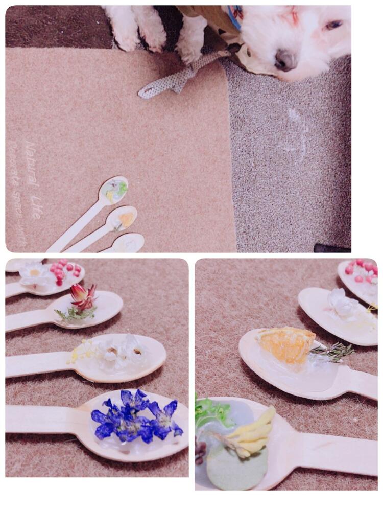 部屋の画像 by coco♥さん | 部屋とドライフラワーとそろそろ多肉パトロールと植物大好きと植中毒とアロマとfeel so good.とアロマワックスバーと楽しい