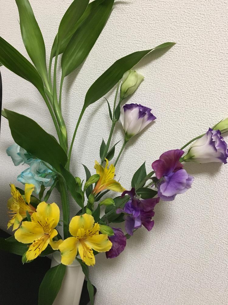 部屋の画像 by はなさん | 部屋とスイートピーとアルストロメリアとトルコキキョウと名前を教えて!と花のある暮らし