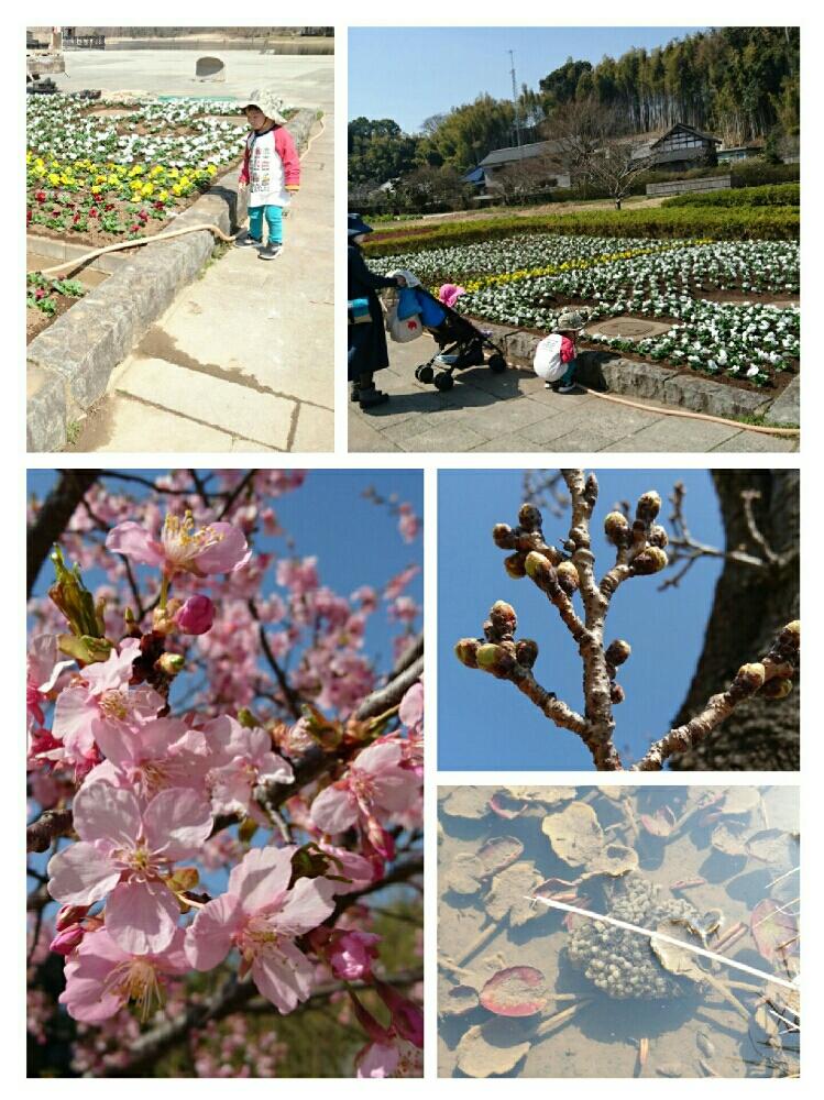お出かけ先の画像 by さちべさん | お出かけ先とこころ☆と植中毒とおたまじゃくし。と孫たちとと花のある暮らしと広い公園