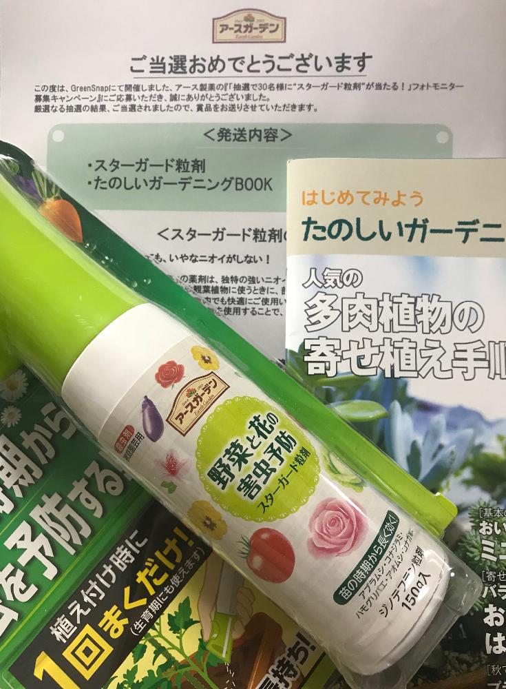 部屋の画像 by エレファンティペスさん | 部屋とアース ガーデンと モニターと多肉植物とモニター当選とモニターとコーデックスとCaudexと植中毒と害虫防除と塊根植物とタニラーと珍奇植物とアースガーデンと球根植物と多肉多肉多肉とバルコニストとスターガード