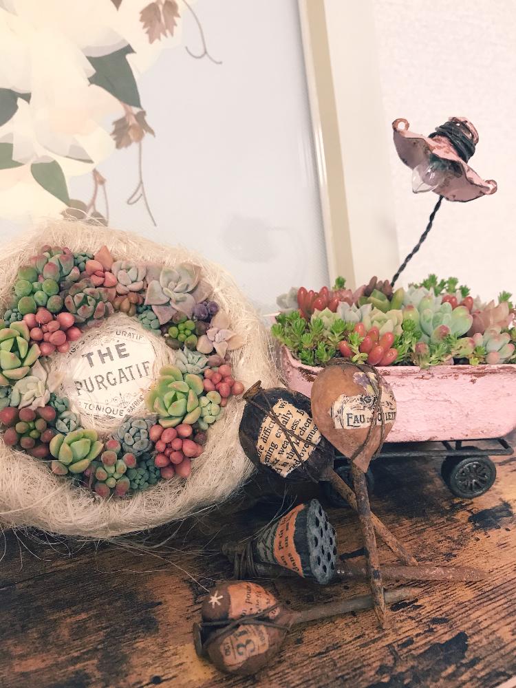 お出かけ先の画像 by mimayaさん | お出かけ先とgreenMarche横浜2018とGS映えと植中毒とくるみさんのWS❤️とタニラーとかわいいな♡と多肉初心者とくるみさんの茶こしリース♡とちまちま寄せ