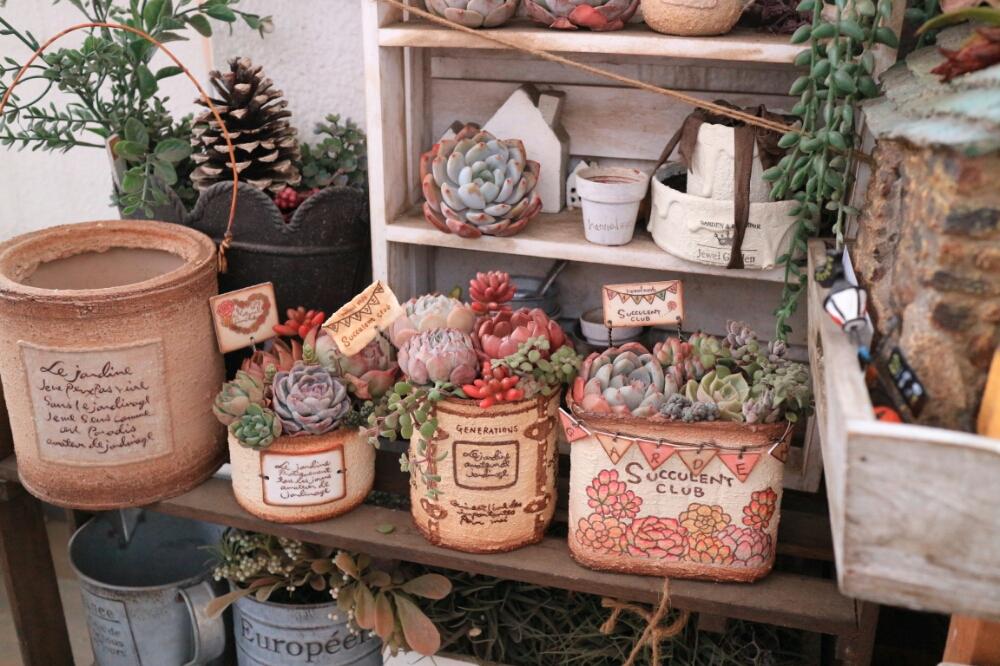 バルコニー/ベランダの画像 by yuki_gardenさん | バルコニー/ベランダとナチュラル缶と多肉植物とリメ缶とトランク缶とベランダ多肉とGS映えと多肉植物寄せ植えと多肉植物のある暮らしと植中毒と多肉女子とタニラーとyuki_gardenと多肉寄せ植えと『ひとてま込めて』コンテストとバルコニスト