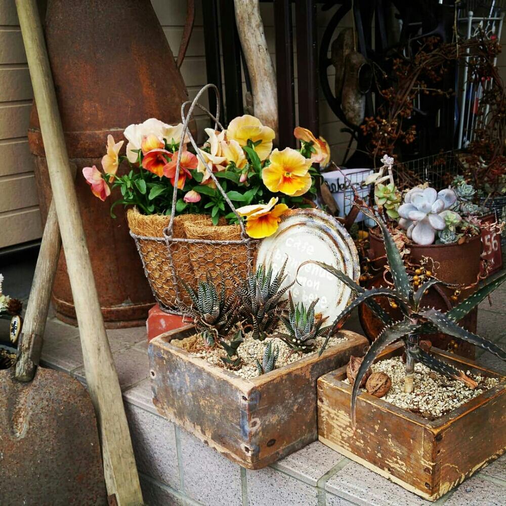玄関の画像 by Ortensiaさん | 玄関と多肉植物と遊び心と植物のある暮らしと今日の一枚とハンドメイドと花のある暮らしとインテリア雑貨とジャンクレトロと『ひとてま込めて』コンテスト