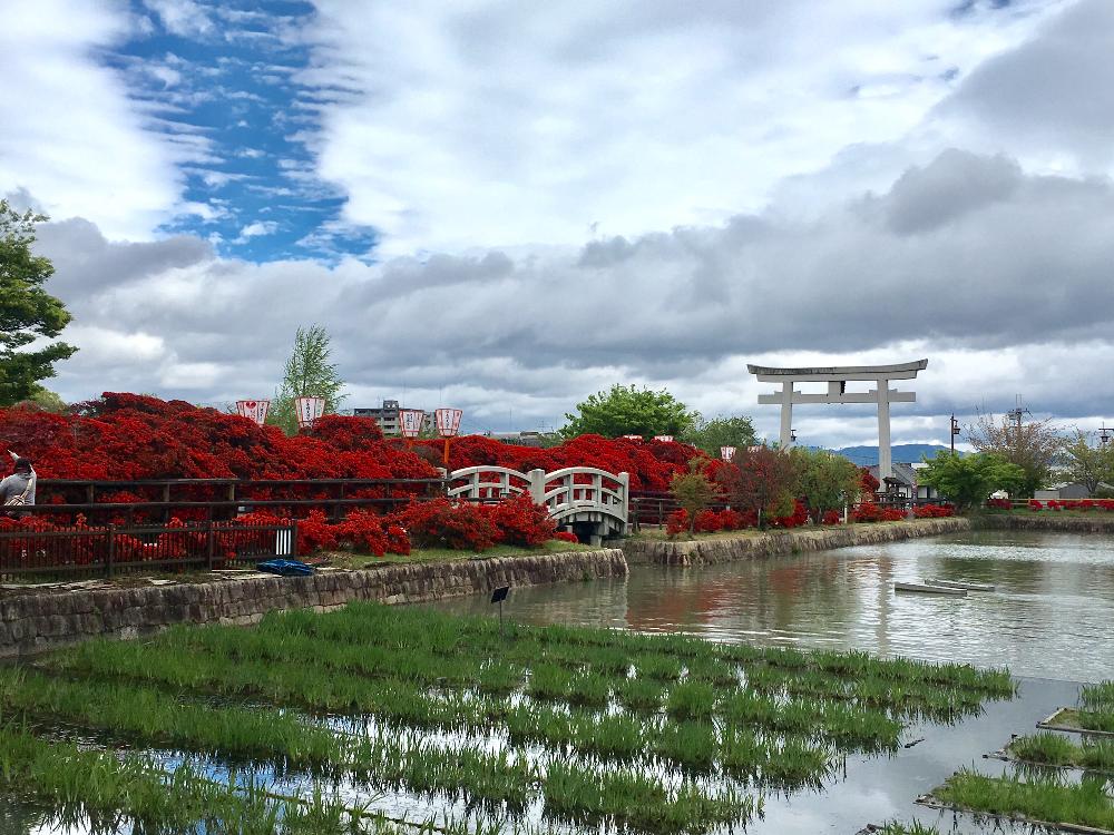 お出かけ先の画像 by kako♪さん | お出かけ先と真っ赤っかとおでかけ先と花のある暮らしと ツツジと長岡天満宮とボタニカルスポット2018春