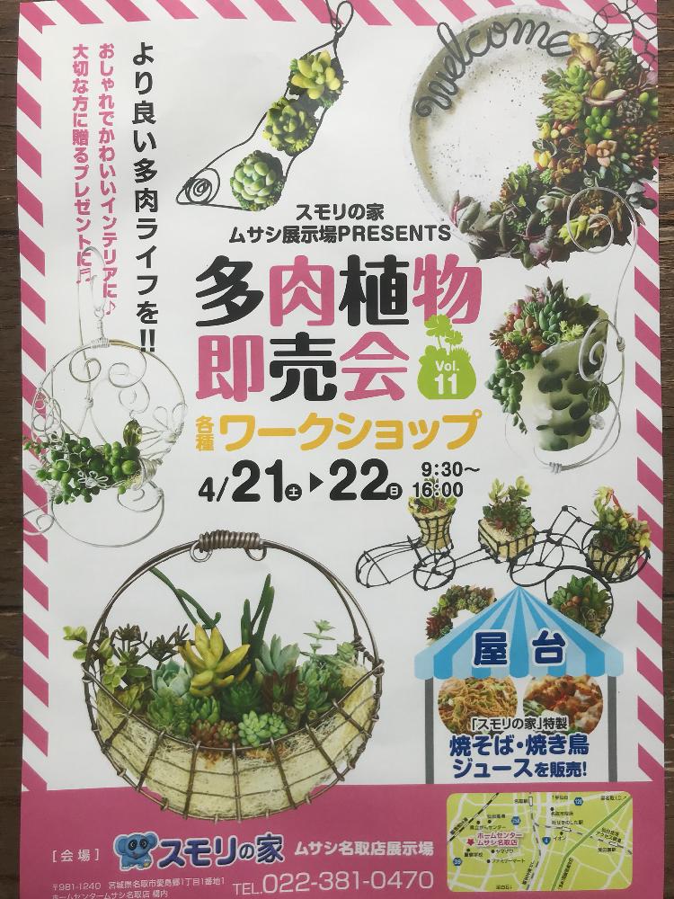 の画像 by BLUE LEAFさん | 多肉植物とここばな庵と多肉寄せ植えWSと植中毒とBlueLeaf♥とスモリの家とタニラーとガーデンプランツ工藤と花のある暮らしとBLUE LEAFと多肉雑花屋BLUELEAFと多肉寄せ植えと多肉雑花 BLUE LEAFと多肉寄せ植えワークショップと宮城多肉販売と俺の多肉植物とバルコニスト
