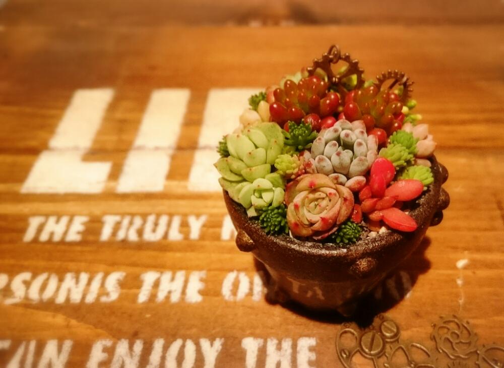 小さな庭の画像 by ikuraさん | 小さな庭とikuraのお箸で多肉植えちゃうよ教室