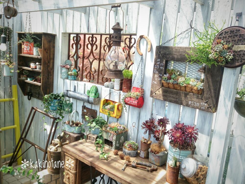 小さな庭の画像 by ✻カキノタネ✻さん | 小さな庭と多肉植物とたんくんDiy