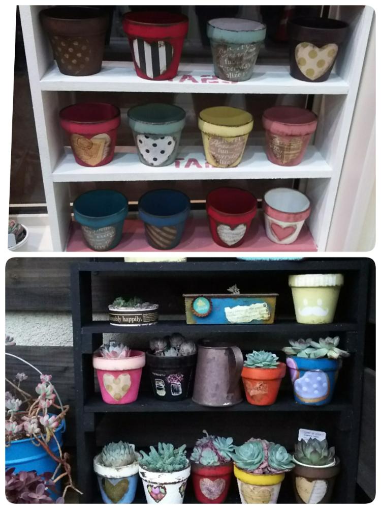 棚の画像 by ジュンさん | 棚と多肉植物と青森♡とHTCとステンシルとカッコいいとリメ缶と多肉ちゃんとB型と多肉のある暮らしとHTC No. 187と植中毒とおきにいりとリメ鉢と多肉女子とHTC新入社員とタニラーと雑貨と韓国苗と可愛いと多肉棚とリメイク鉢と『ひとてま込めて』コンテスト