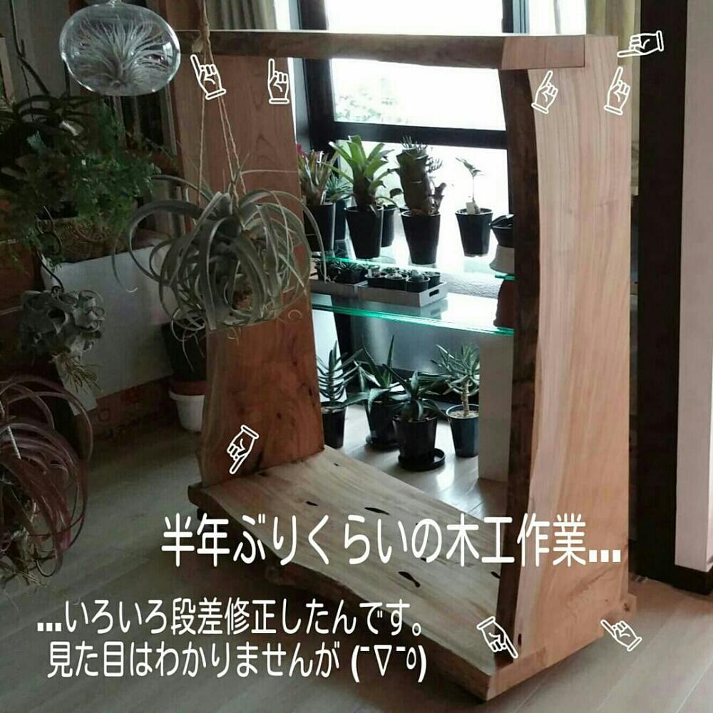 部屋の画像 by kyonさん | 部屋と対策しなくちゃ!とHTCと増殖中とkyonさん家の色々とくるくるしとる♥と植中毒とエアプランツとエアープランツ/チランジアと植物の為にDIY