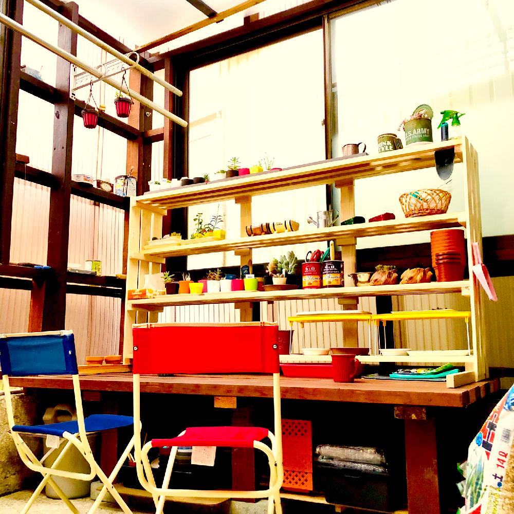 棚の画像 by あみたす☆さん | 棚と多肉植物と多肉棚DIYとリメ缶とハオルチア属とおひとりさま多肉とサボテンさんと100均多肉とGS映えと多肉植物寄せ植えと多肉植物のある暮らしと作業場と緑のある暮らしと滋賀とタニラーと手作り棚と多肉棚と多肉多肉多肉多肉多肉‼とタニク初心者と葉挿しと旦那さんDIY