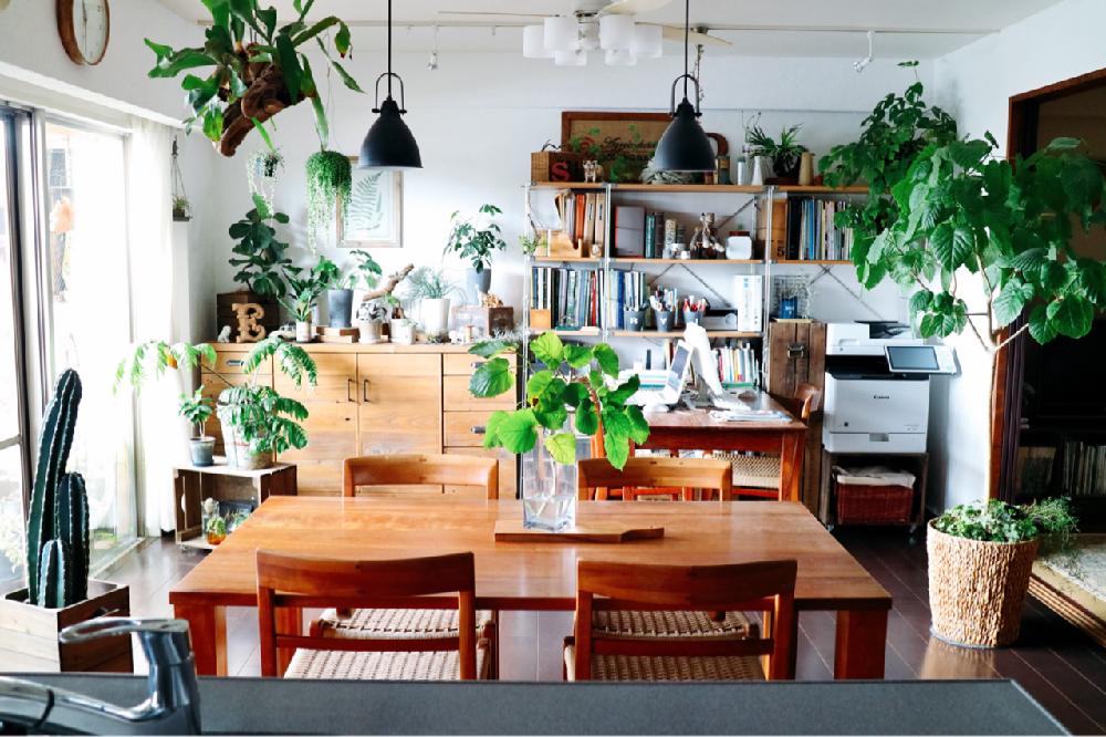 インテリアの画像 by RIKAさん | インテリアと観葉植物とプランツハンガーとみどりの雑貨屋とGS映えとGS日和とフェイクグリーンとナチュラルインテリアとナチュラルスタイルとインテリアグリーン