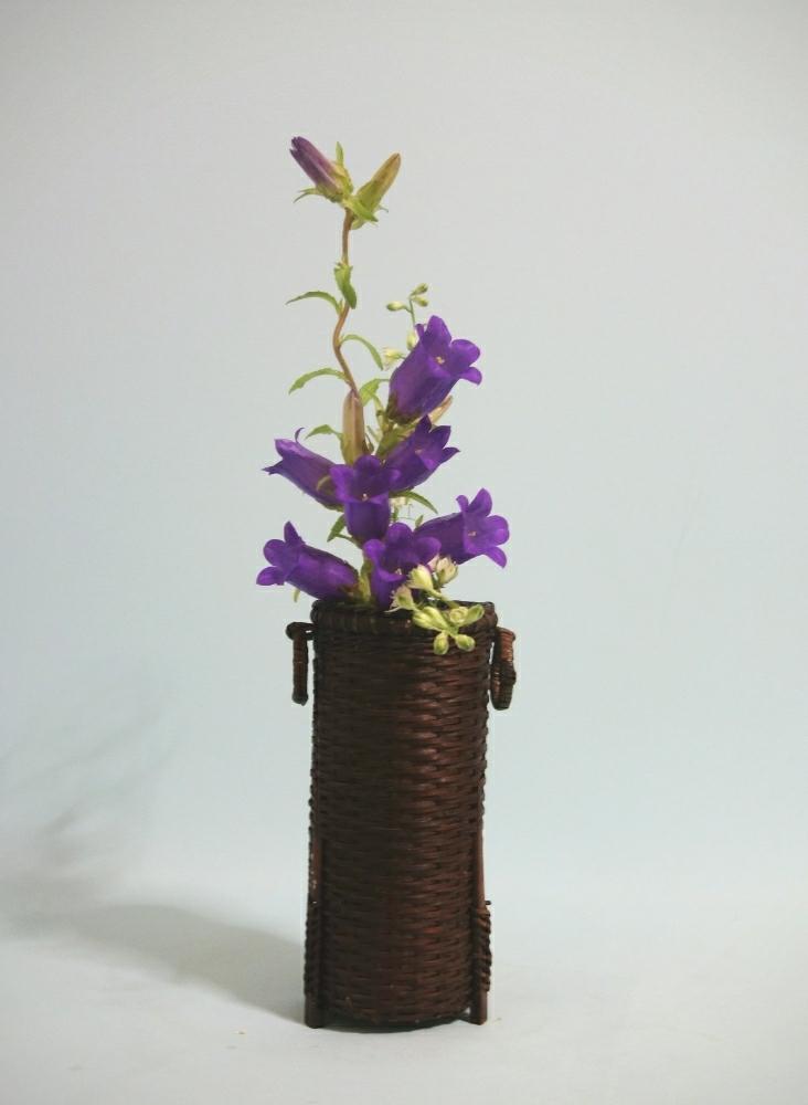 部屋の画像 by 野ニンさん | 部屋と『可憐な山野草』コンテスト