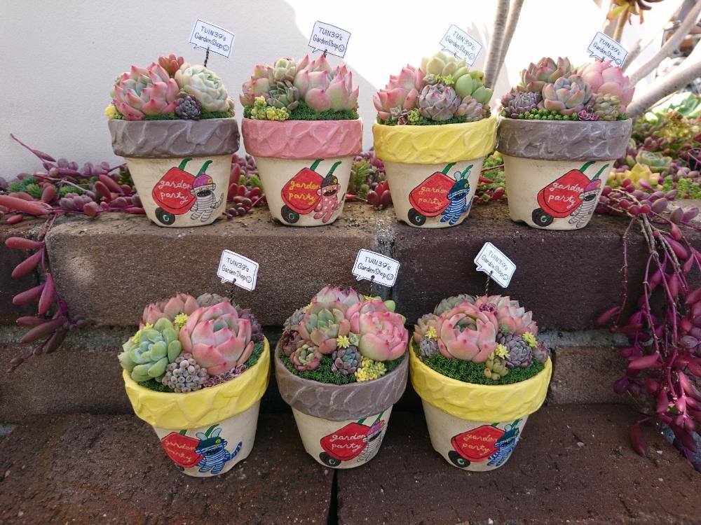 お出かけ先の画像 by もっちさん | お出かけ先と多肉植物とリメ缶と寄せ植えとリエール苗とGS映えと多肉植物寄せ植えとGS日和と植中毒と多肉ワークショップと多肉寄せ植え教室とリメ鉢と多肉植物とサボテンとリメ缶・リメ鉢とタニラーとお庭とジャンクガーデンとリメイク缶