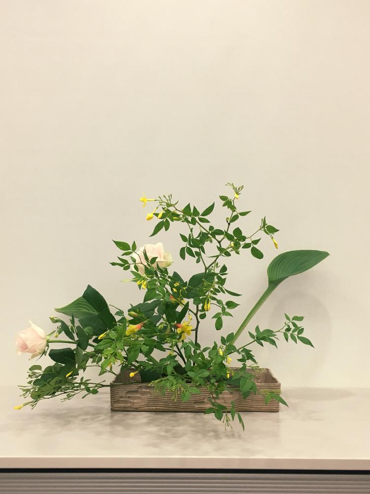 の画像 by じゅえるさん | ギボウシと薔薇とアルストロメリアと草月といけばな