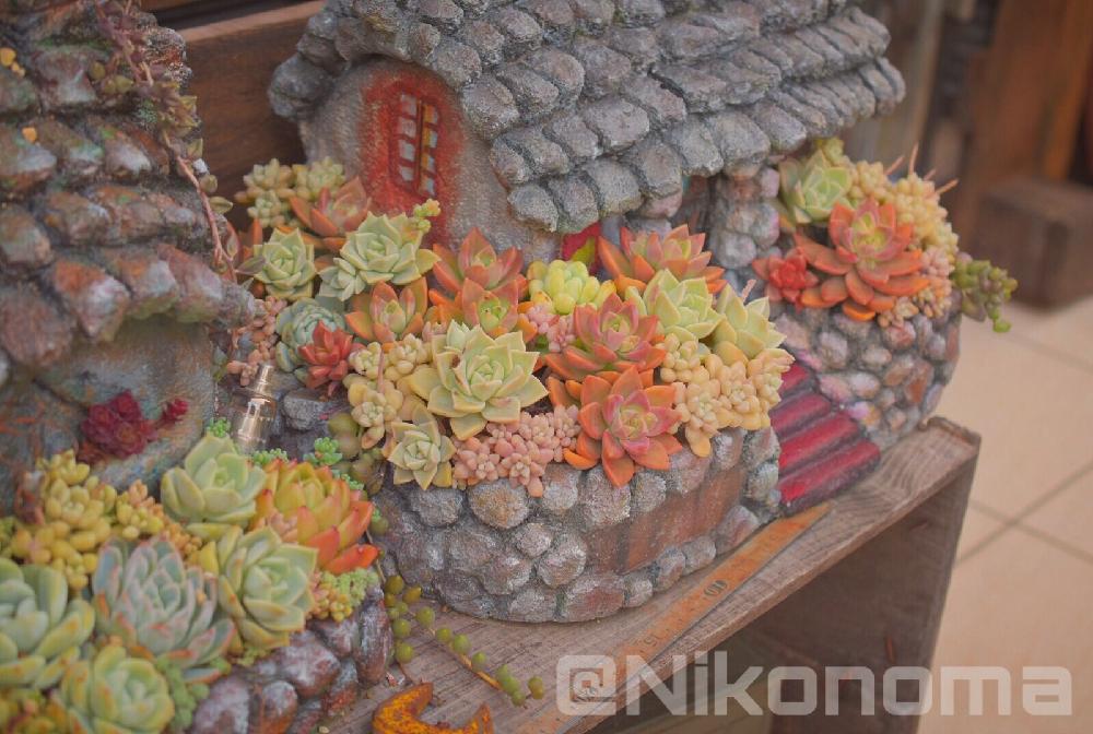 玄関の画像 by Nomachanさん | 玄関と多肉植物とW投稿と繋がりに感謝と大好きな場所と寄せ植えとモルタルハウスと多肉のある暮らしと植中毒と笑顔の源と癒し空間と錆錆とDIYとハンドメイドとサビじょ