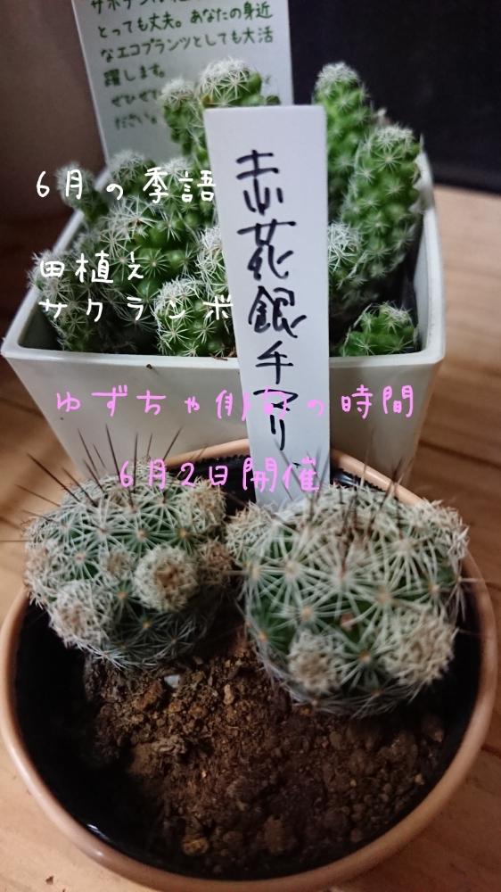 車庫の画像 by ぶちまけリーダーゆずちゃ画伯さん | 車庫とぶちまけリーダーとHTCとヘタレ同盟とHTC22(窓際希望)とボンボンバカボンとゆずちゃ俳句会と富山支部とまた500円貯金だ!と人生の選択と上田次郎メモと多肉婦人会