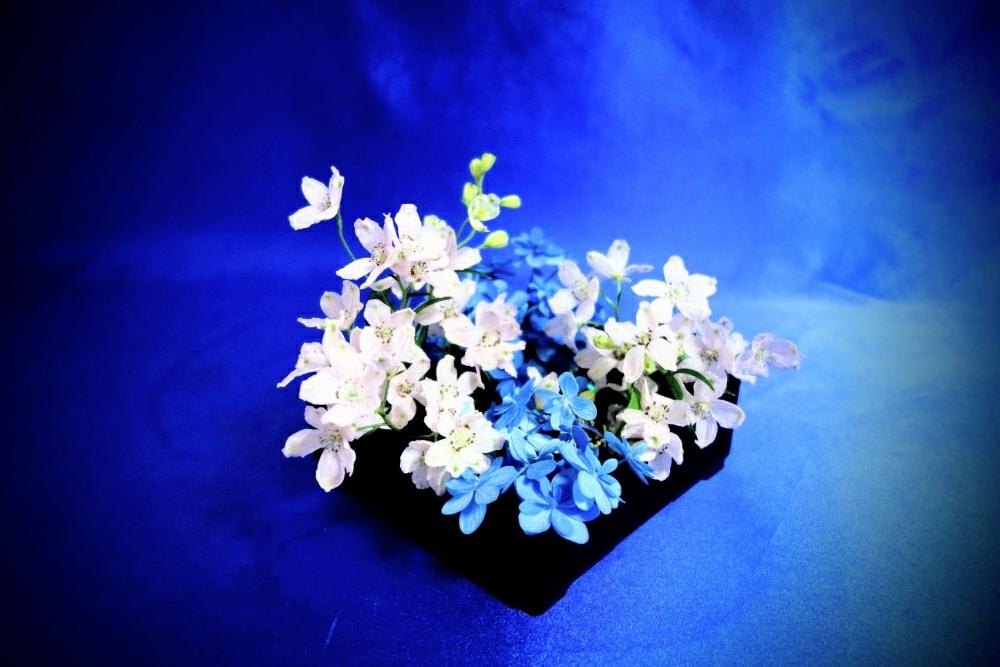 部屋の画像 by 野ニンさん | 部屋と名前を教えて!と200万枚記念!テーマ別記念フォトコンテスト