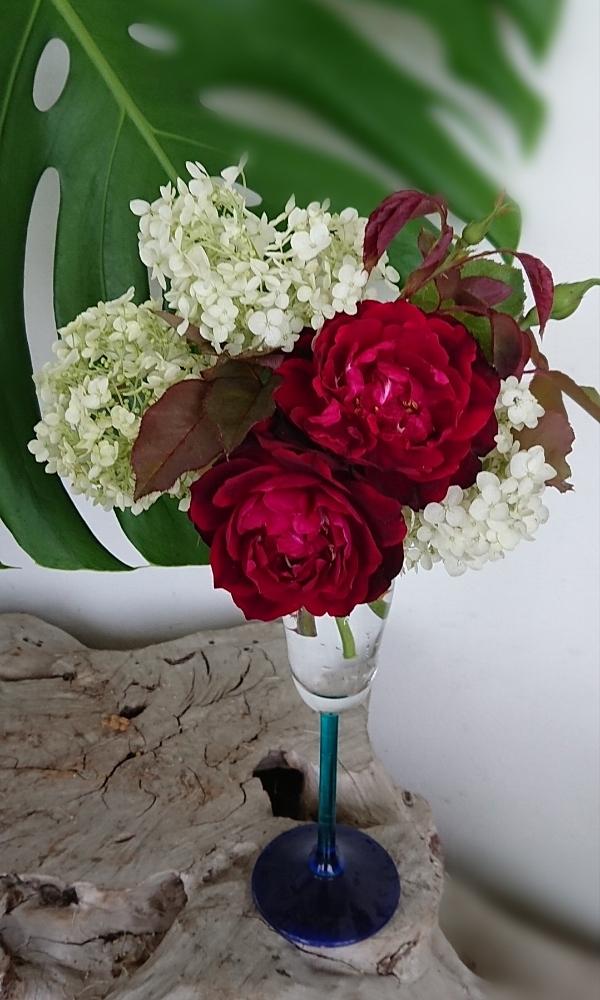 玄関の画像 by YUMIKOさん | 玄関とスマホ撮影と薔薇愛同盟と花が好き❤と薔薇に魅せられてと植中毒とアナベル 紫陽花とフランシスデュブリュイ♡と薔薇が好き❤と花のある暮らし