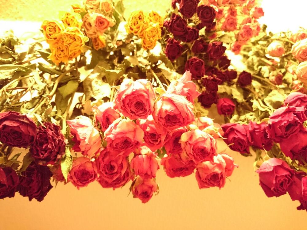 玄関の画像 by ハニーさん | 玄関とみどりのある暮らしとばら バラ 薔薇とドライフラワーとドライフラワーのある暮らしと多肉大好きと嫁も多肉とGS映えとGS日和と植欲と植中毒と緑のある暮らしと多肉女子とタニラーと200万枚記念!テーマ別記念フォトコンテストとナチュラルスタイルと花のある暮らしとロザリアンと多肉初心者とバルコニストと『梅雨を彩るスワッグ&ブーケ』フォトコン