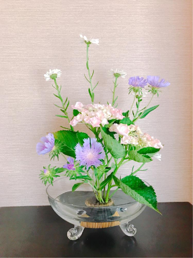 和室の画像 by Hamiさん | 和室と自由花といけばなとアレンジと花のある暮らし