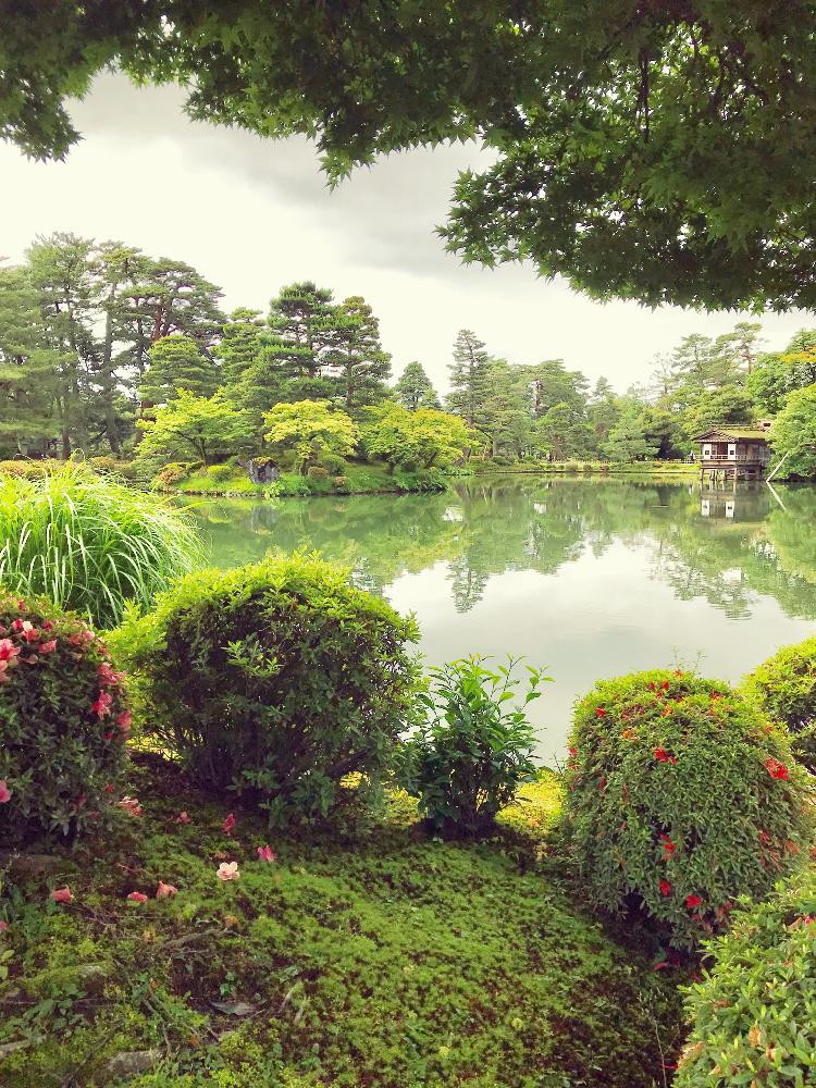 お出かけ先の画像 by miyuさん | お出かけ先とお写ん歩と日本庭園とコケ植物