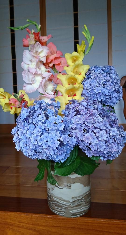 玄関の画像 by mさん | 玄関とアジサイとグラジオラスとムラサキの花と癒しと季節の花と紫陽花 アジサイ あじさいと今日の一枚と黄色と綺麗といけばなときいろいお花と花のある暮らしとかわいいと白い花