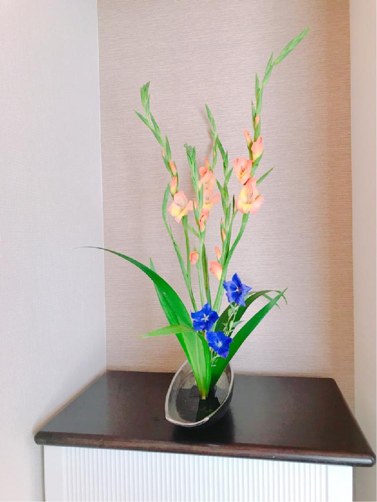 和室の画像 by Hamiさん | 和室といけばなと自由花とアレンジと花のある暮らし