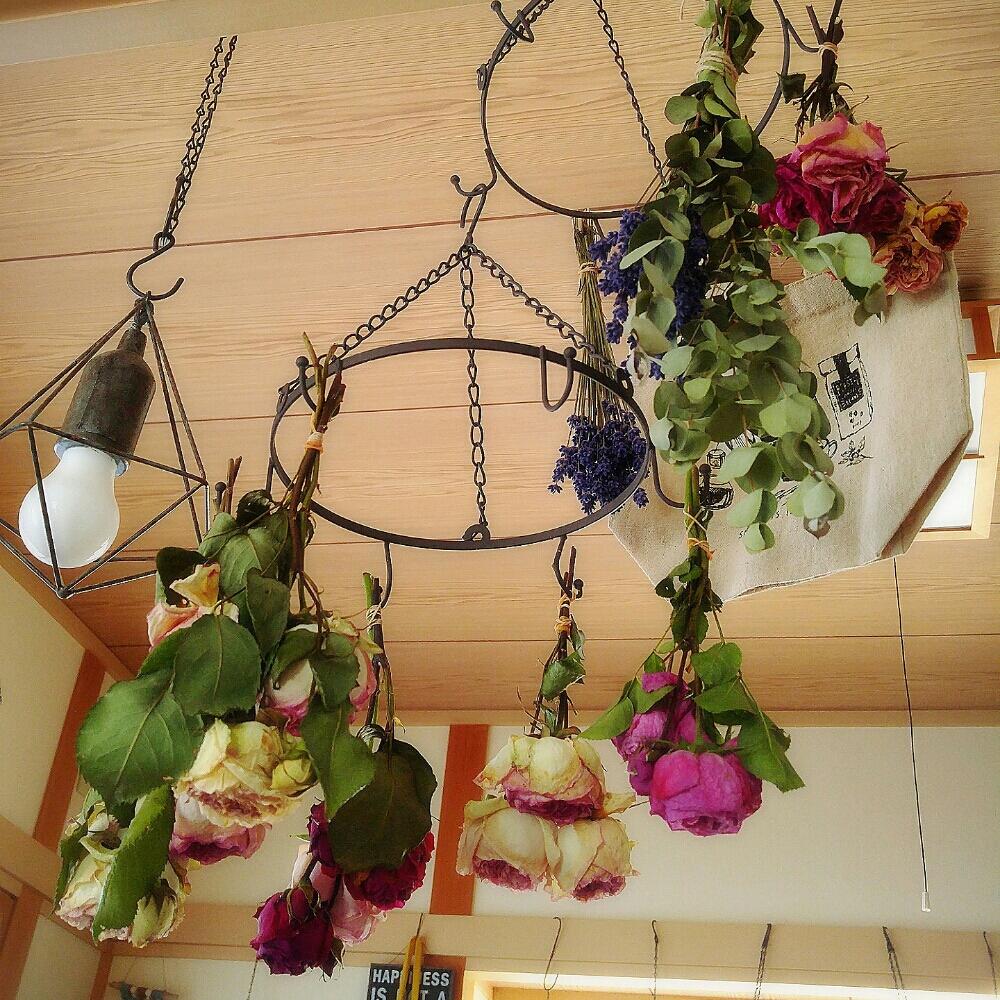 和室の画像 by Ortensiaさん | 和室と遊び心と植物のある暮らしとドライフラワーと今日の一枚とラベンダー☆と200万枚記念!テーマ別記念フォトコンテストと花のある暮らしと薔薇♪と『梅雨を彩るスワッグ&ブーケ』フォトコン
