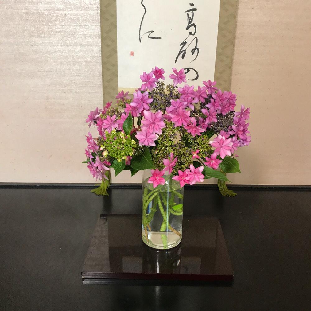 和室の画像 by ララさん | 和室と花のある暮らしと雨に輝く