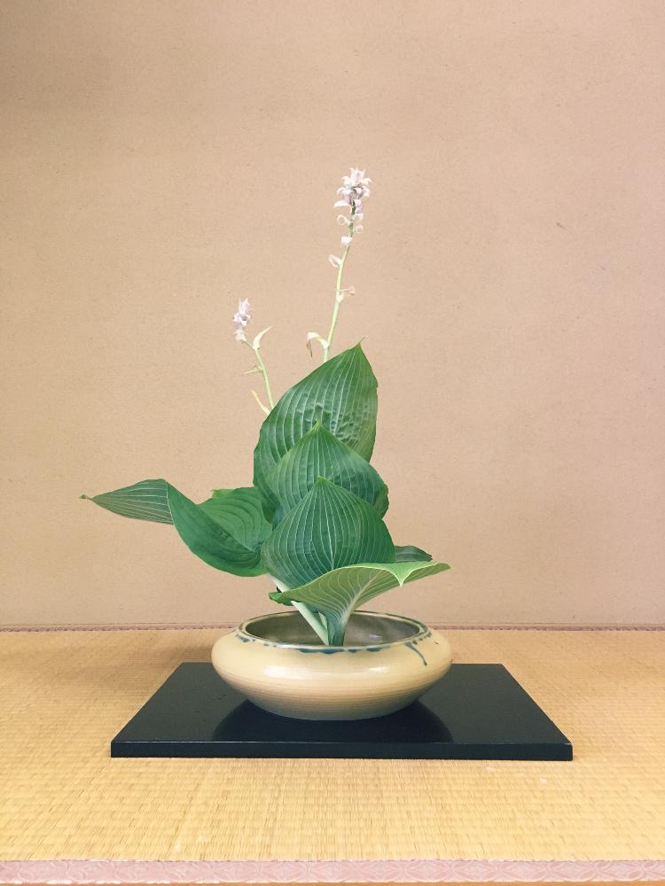 和室の画像 by ともさん | 和室とギボウシと花のある暮らしと池坊と生花