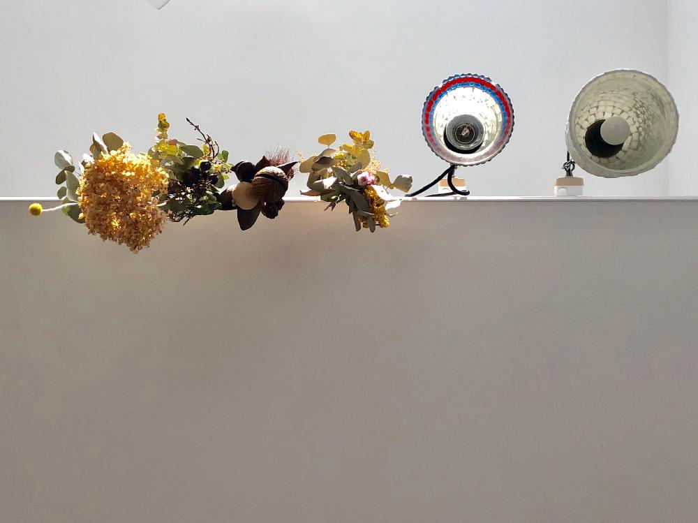 部屋の画像 by ハルさん | 部屋と観葉植物とドライフラワーとユーカリの木とスワッグと植中毒と花のある暮らし