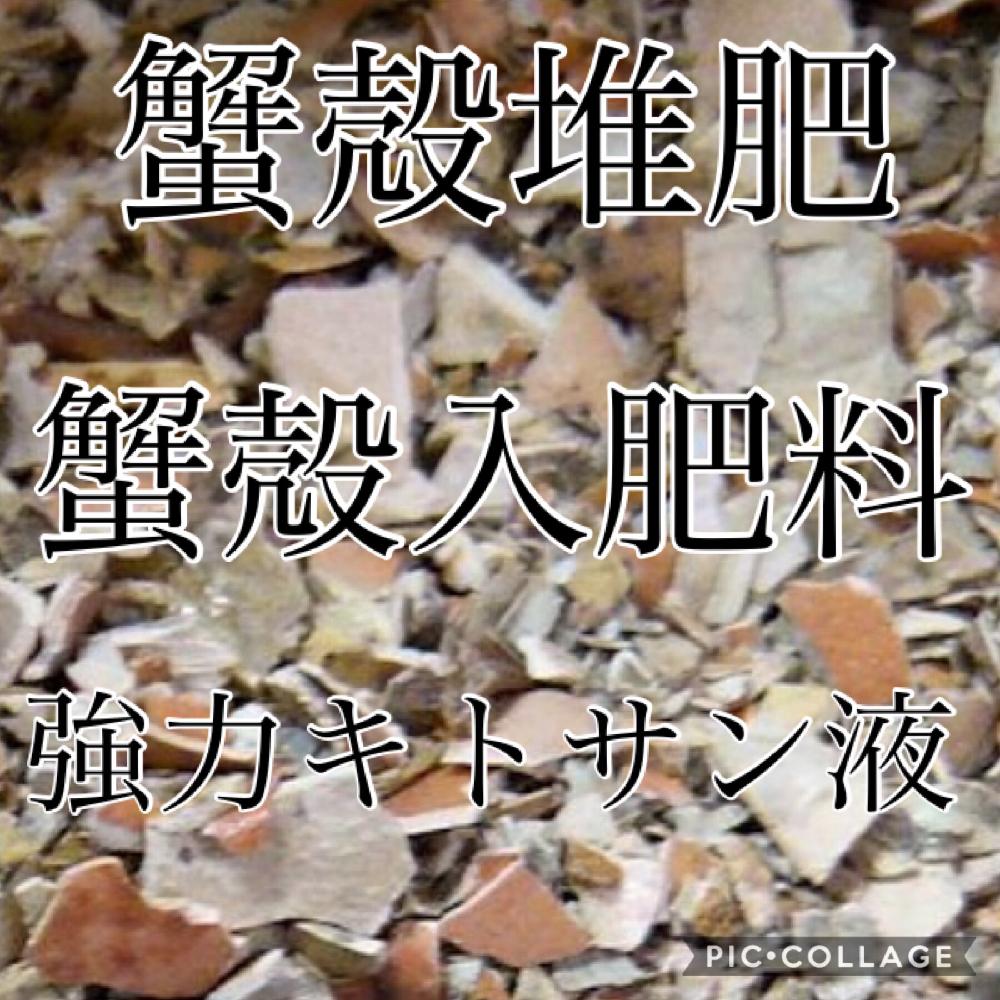 小さな庭の画像 by 自然農法バラ栽培 Natural farming rose cultivationさん | 小さな庭と無農薬薔薇栽培とバラ初心者と薔薇愛同盟と初めてのバラと強力キトサン液とrose lesson12ヶ月とキトサン効果と蟹殻と薔薇のお手入れと薔薇グッズとbeginner rose lessonと新米ロザリアンと減農薬と無農薬と薔薇の初心者教室とバラ・ミニバラとロザリアンと蟹殻入肥料