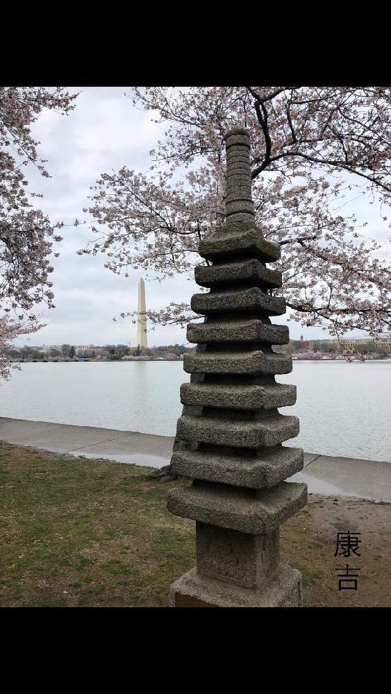 エクステリアの画像 by 康吉さん | エクステリアとcherry blossomと桜 2018とワシントン桜とsakura2018とFamily Road Tripと家族訪問と大好きな花とcherryblossomとwashington DC