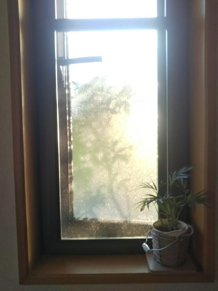 玄関の画像 by EcoLifeさん | 玄関と南天とナンテンとテーブルヤシと夕陽と100均観葉植物と100均とみどりのある暮らし